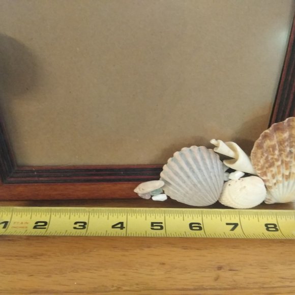 Seashell Photo Frame - Picture 4 of 4